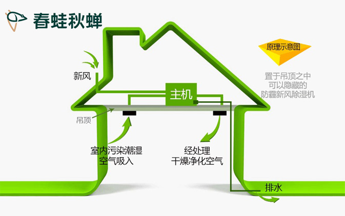 除湿和加湿对我们有多重要，你知道吗？